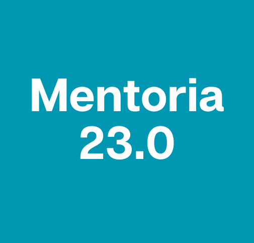 Mentoria Traders Piolhos Top Team – Turma 23.0